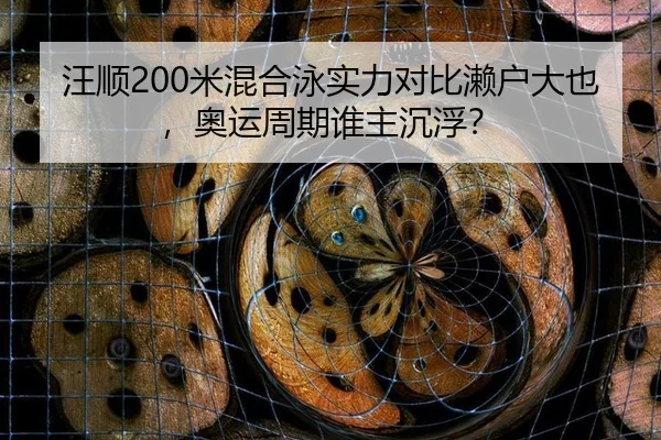 汪顺200米混合泳实力对比濑户大也，奥运周期谁主沉浮？