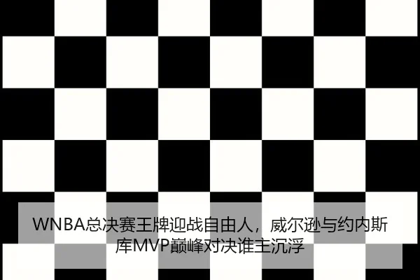 zong-jue-sai-wang-pai-ying-zhan-zi-you-ren-wei-er-xun-yu-yue-nei-si-ku-dian-feng-dui-jue-shui-zhu-chen-fu-3-429.jpg