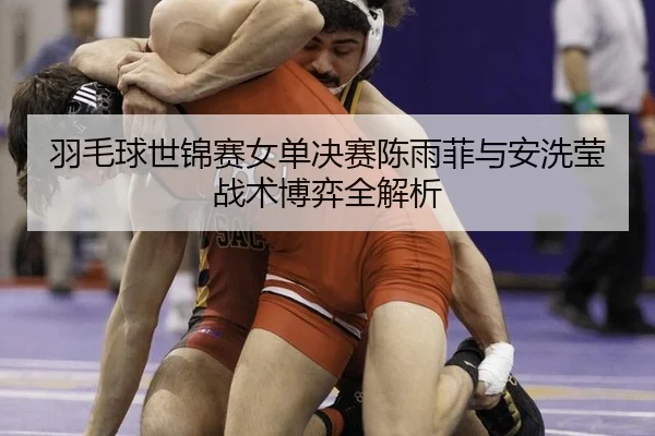 yu-mao-qiu-shi-jin-sai-nv-dan-jue-sai-chen-yu-fei-yu-an-xi-ying-zhan-shu-bo-yi-quan-jie-xi-2-344.jpg